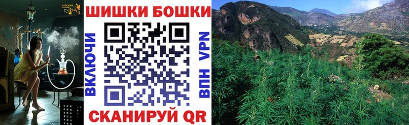 Все наркотики Камешково Псилоцибиновые грибы  Cocaine  ГАШИШ  МЕФ  АМФЕТАМИН  Марихуана  СОЛЬ 