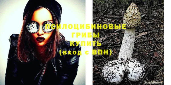 сатива Бугульма