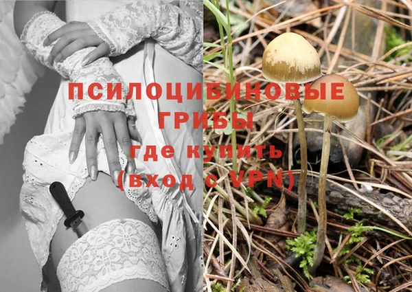 сатива Бугульма