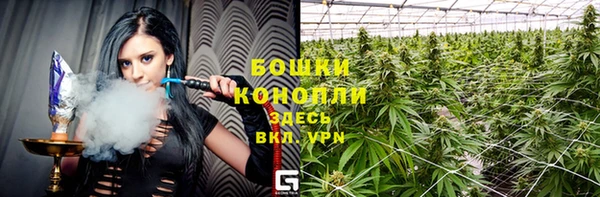 сатива Бугульма