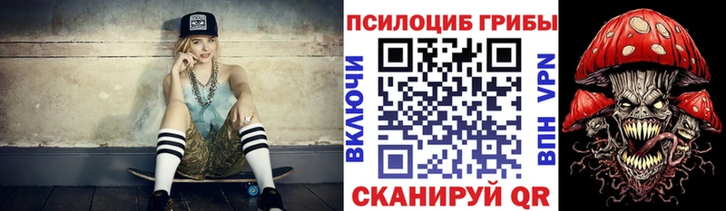 Псилоцибиновые грибы прущие грибы где можно купить Камешково